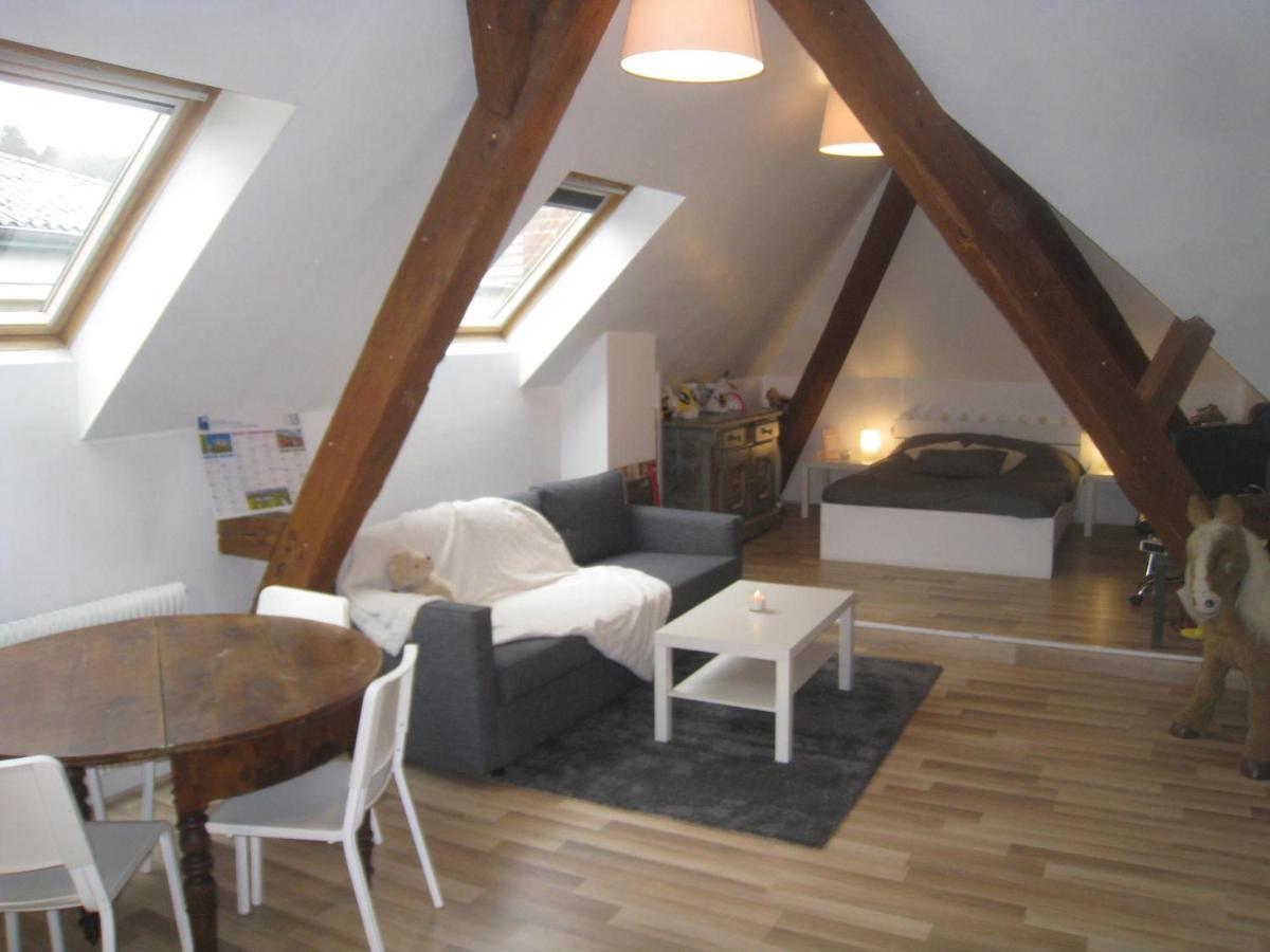Chambres Privatives Chez L'Habitant Ґебвіллер Екстер'єр фото