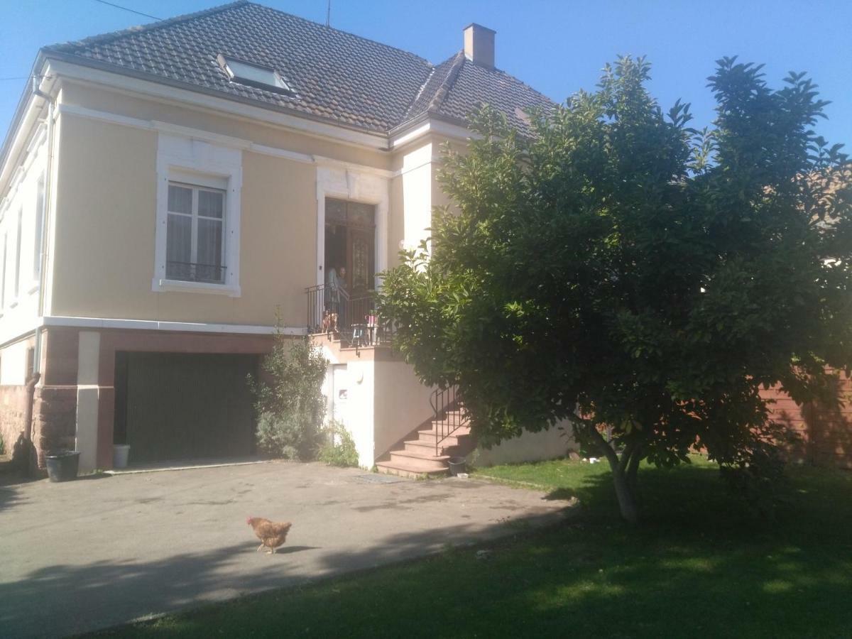 Chambres Privatives Chez L'Habitant Ґебвіллер Екстер'єр фото